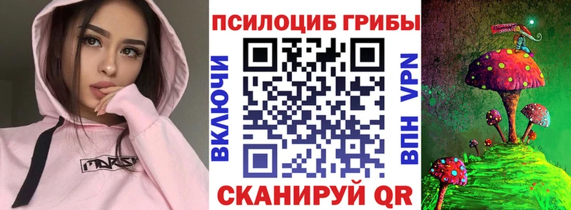 Купить где  Зима  Галлюциногенные грибы GOLDEN TEACHER 