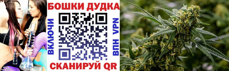 Бошки Шишки планчик  Купить где  Зима 